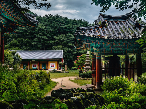 Moak Mountain-全州市必去景点