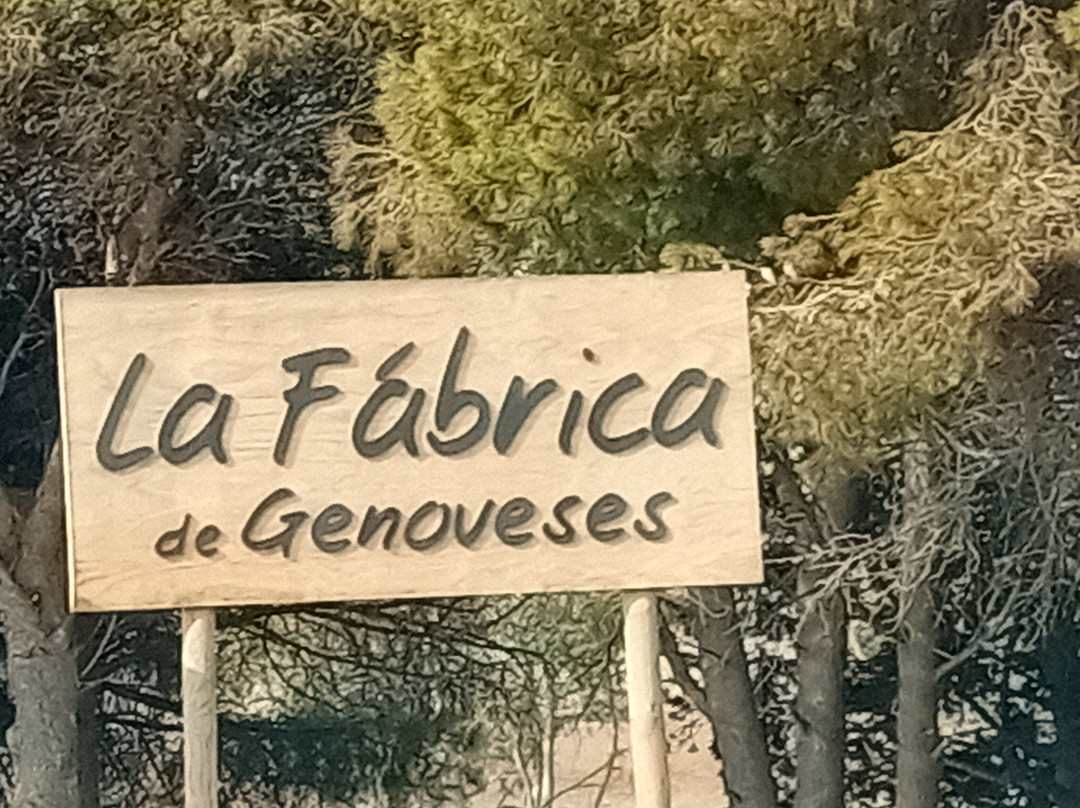 Playa de los Genoveses景点图片