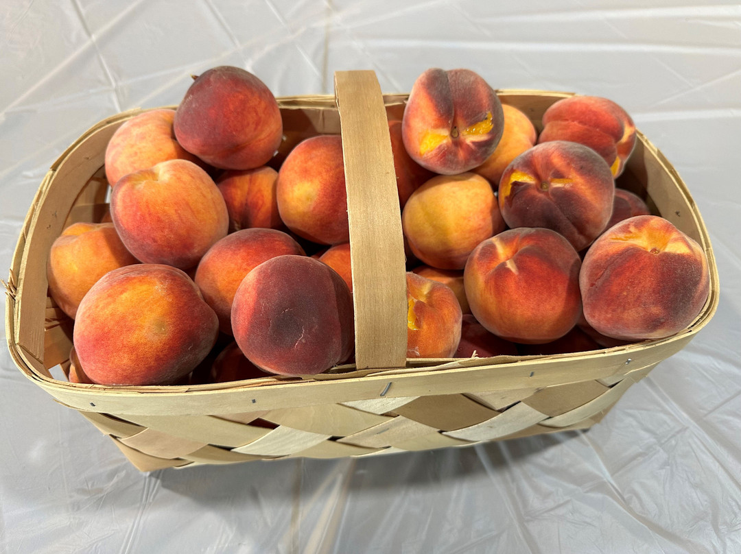 The Property Farms and McCallum's Orchard & Cider Mill-Jeddo必去景点