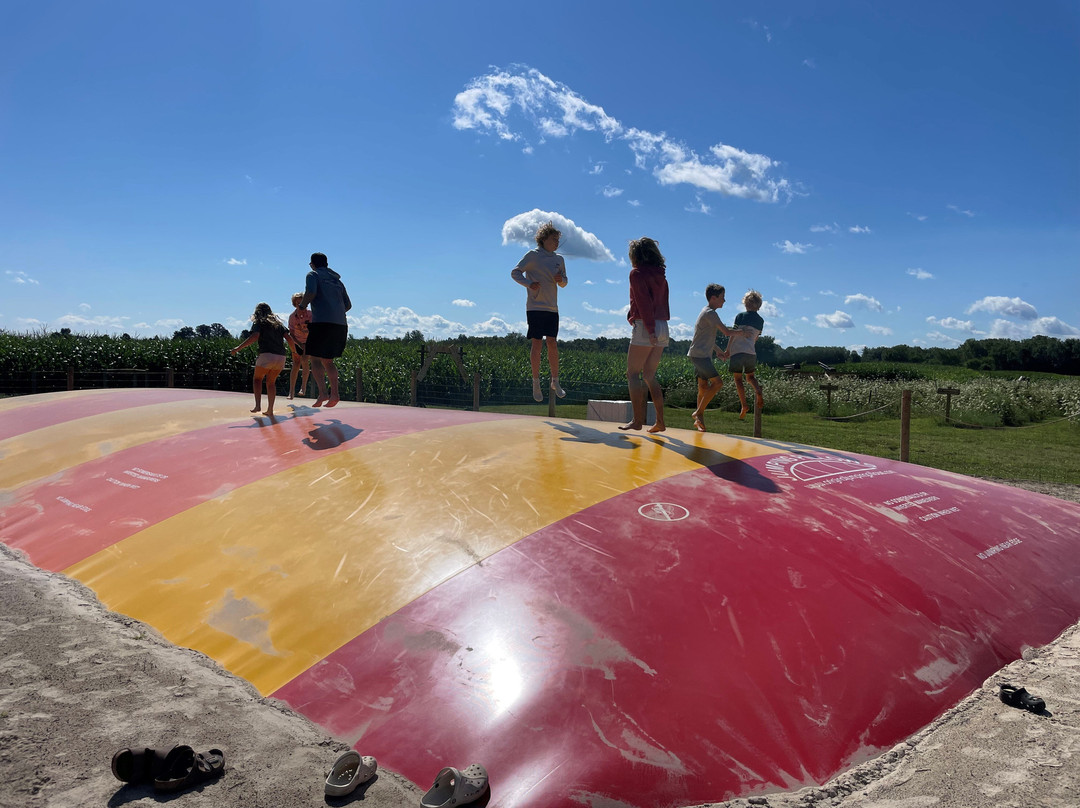 The Property Farms and McCallum's Orchard & Cider Mill-Jeddo必去景点