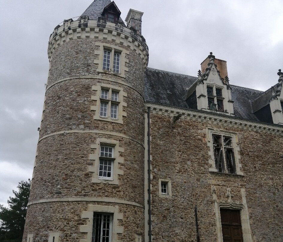 Musée-château de Villevêque景点图片