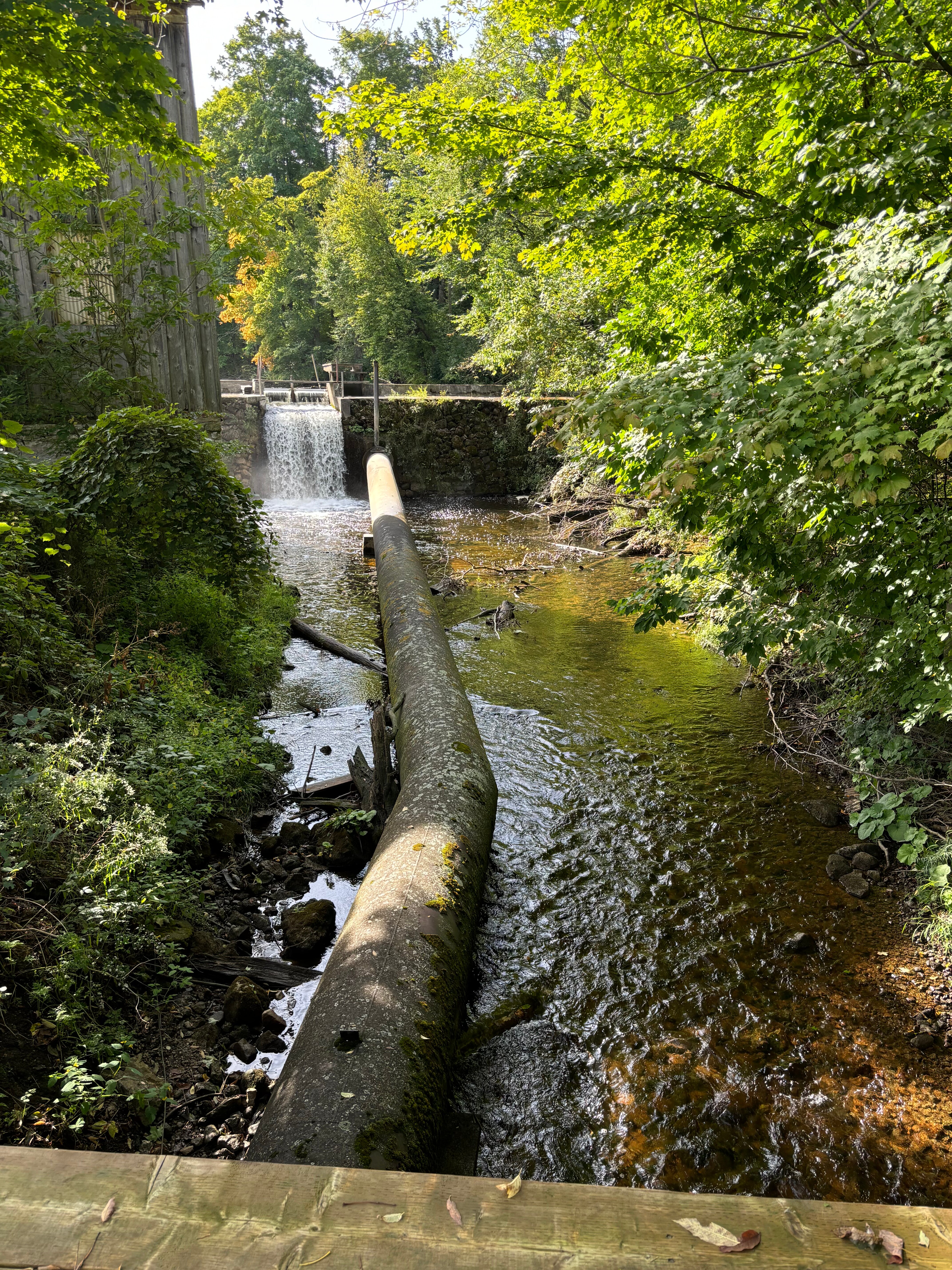 The Falls Inn & Spa-浴室