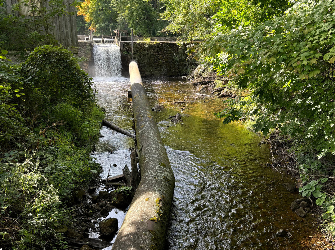 The Falls Inn & Spa主图