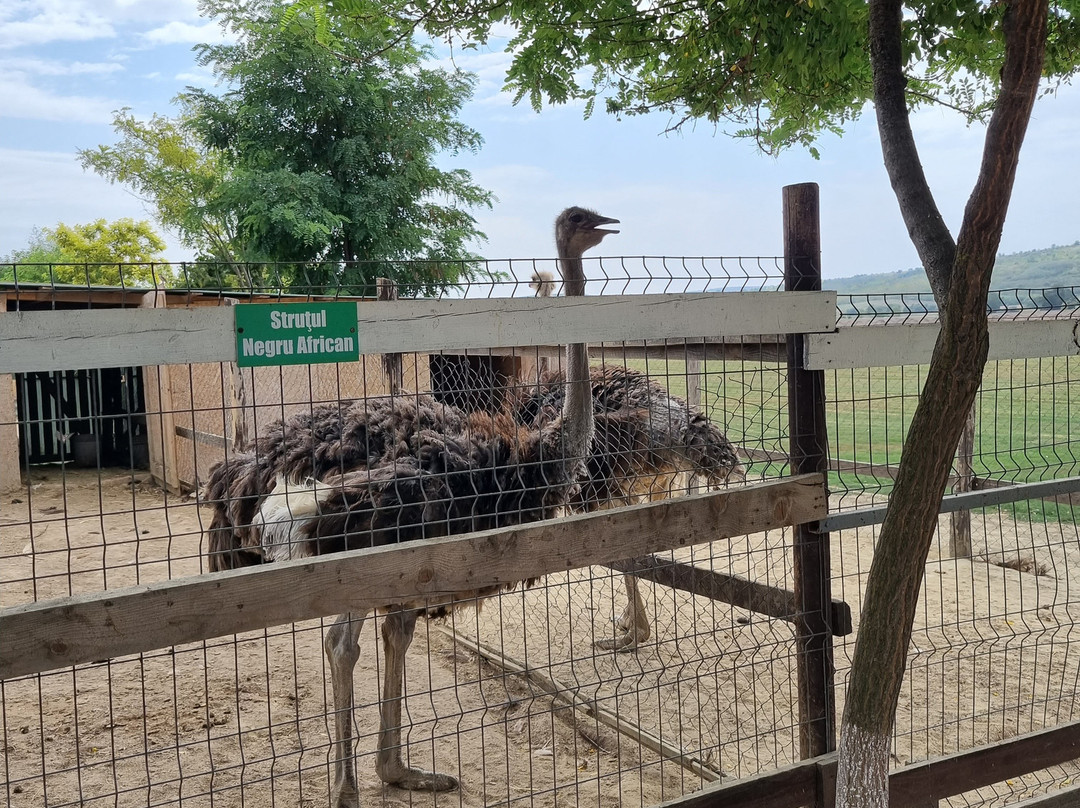 ZooClub-Bardar必去景点