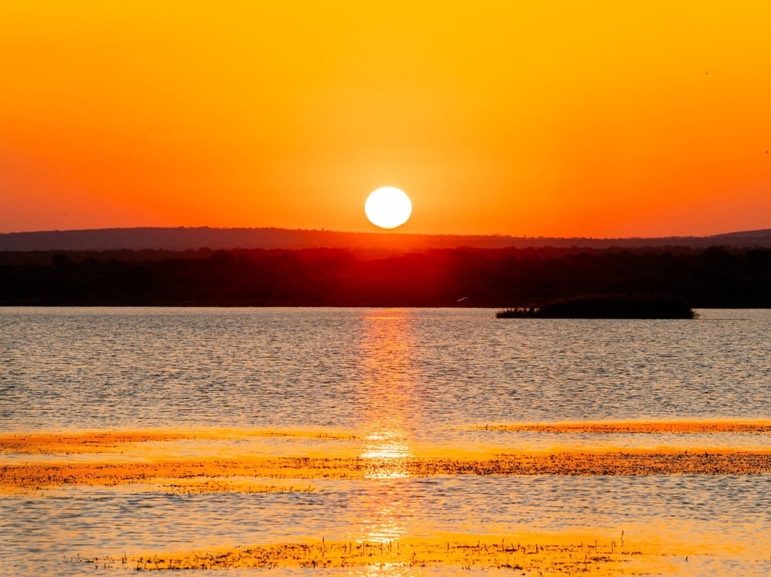 Kamsholo Bushveld Safaris主图