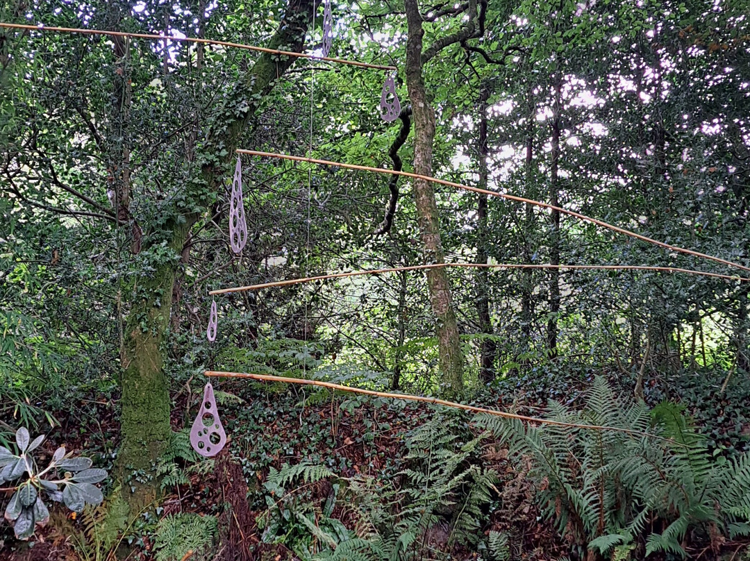Llwyngarreg Garden景点图片