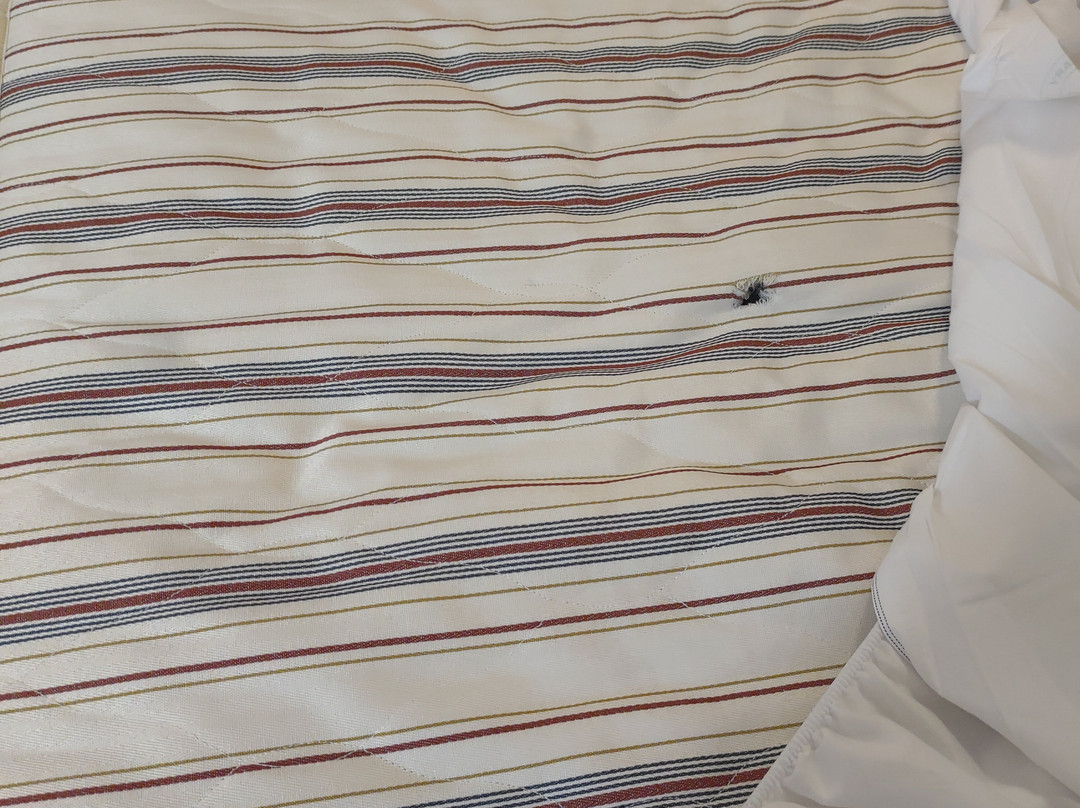 The Coach House Hotel主图