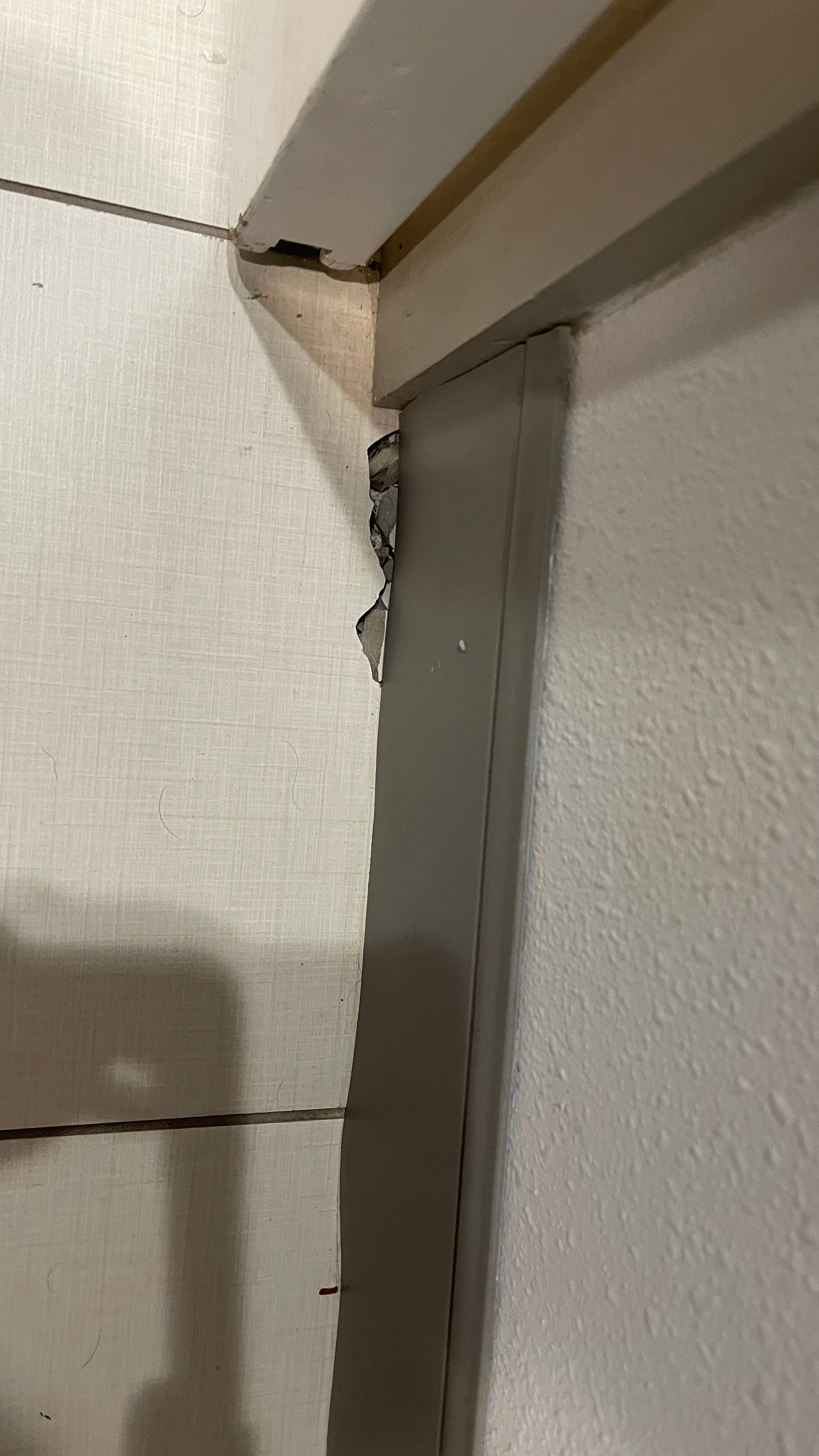 Home2 Suites by Hilton Longmont-客卧