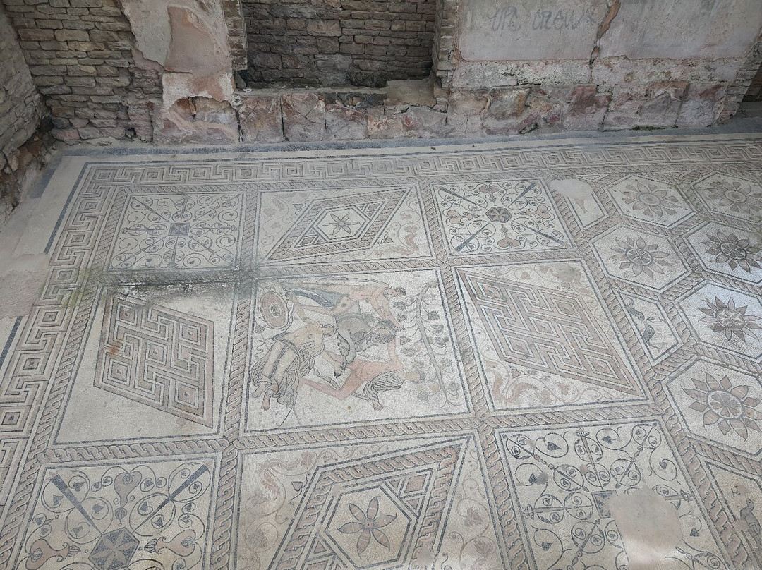 Floor mosaic The Punishment of Dirce-普拉必去景点