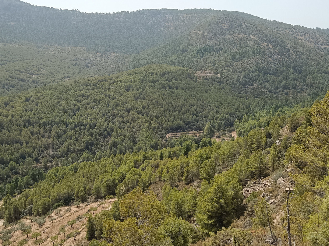 Fuente De Arriba-Moratalla必去景点