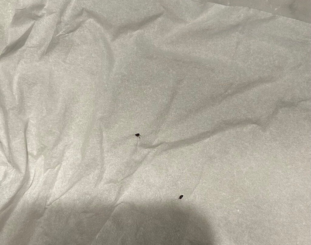 卢瑟里奥温泉酒店主图