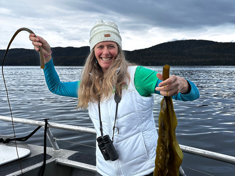 Alaska Sea to Shore-朱诺必去景点