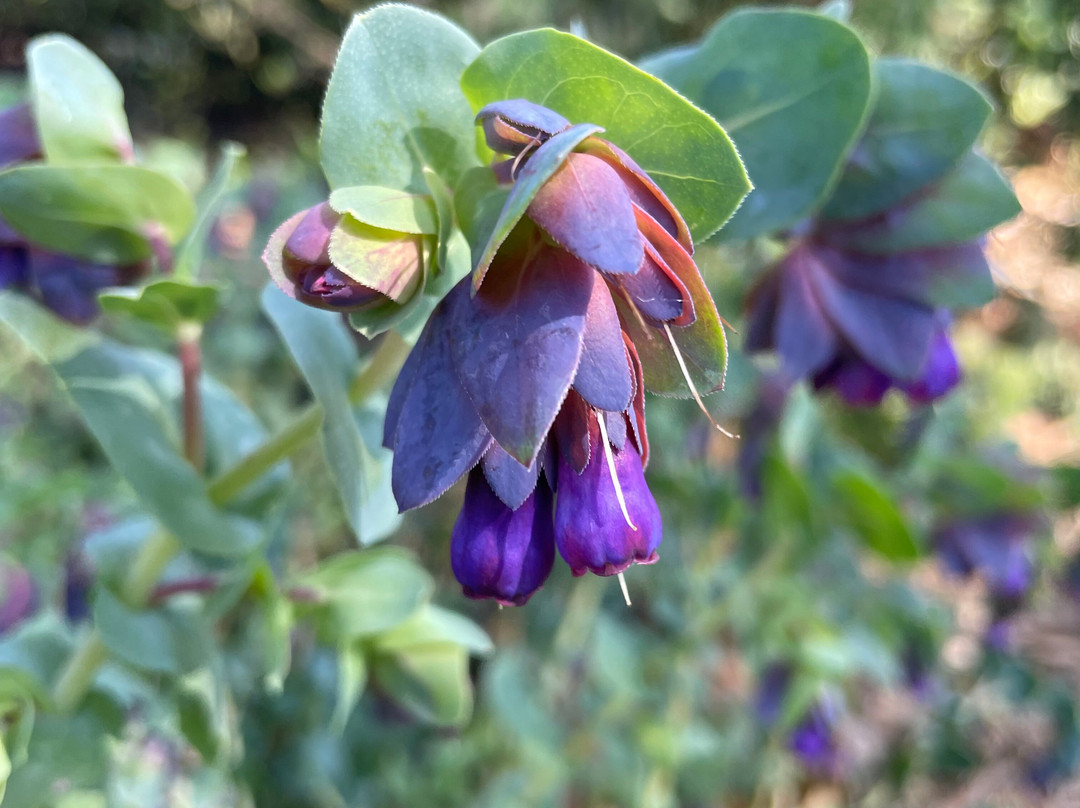 Birch Place Playground-塞尔必去景点