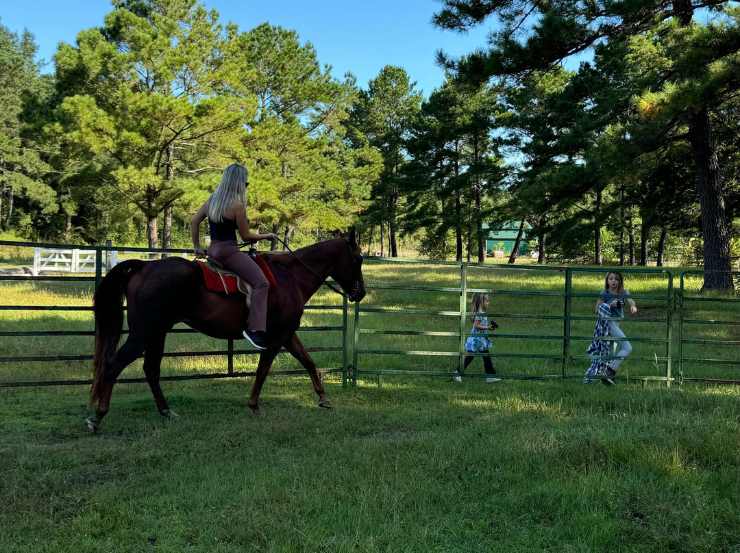 Desperado Horse Farm-Rocky Point必去景点