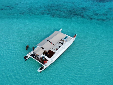 Top Cozumel Tours-San Miguel de Cozumel必去景点