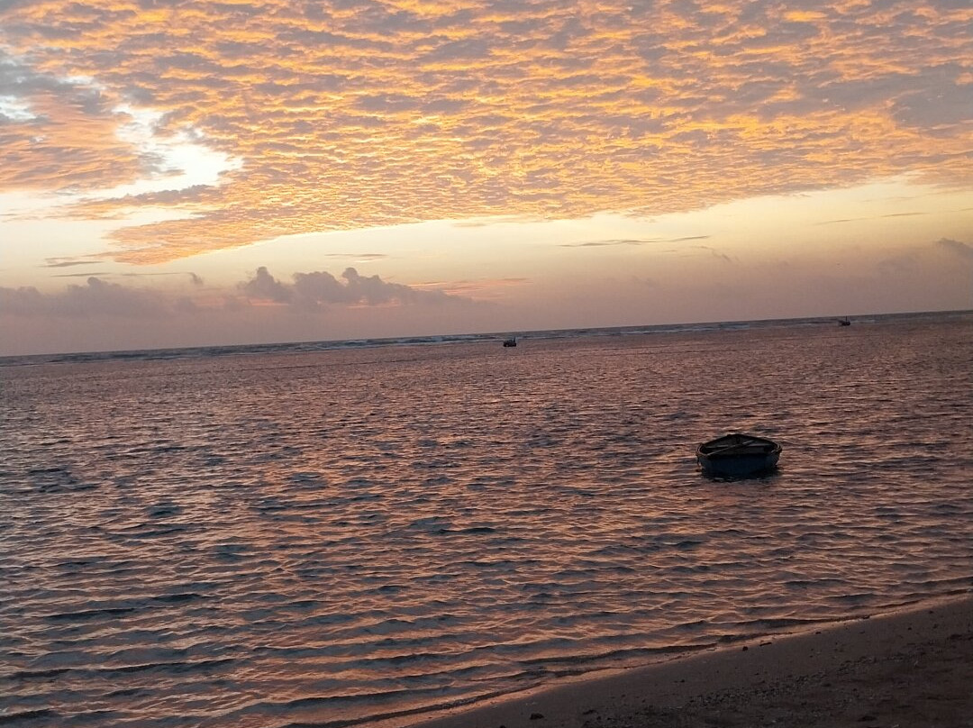 Apartahotel Hipocampo主图