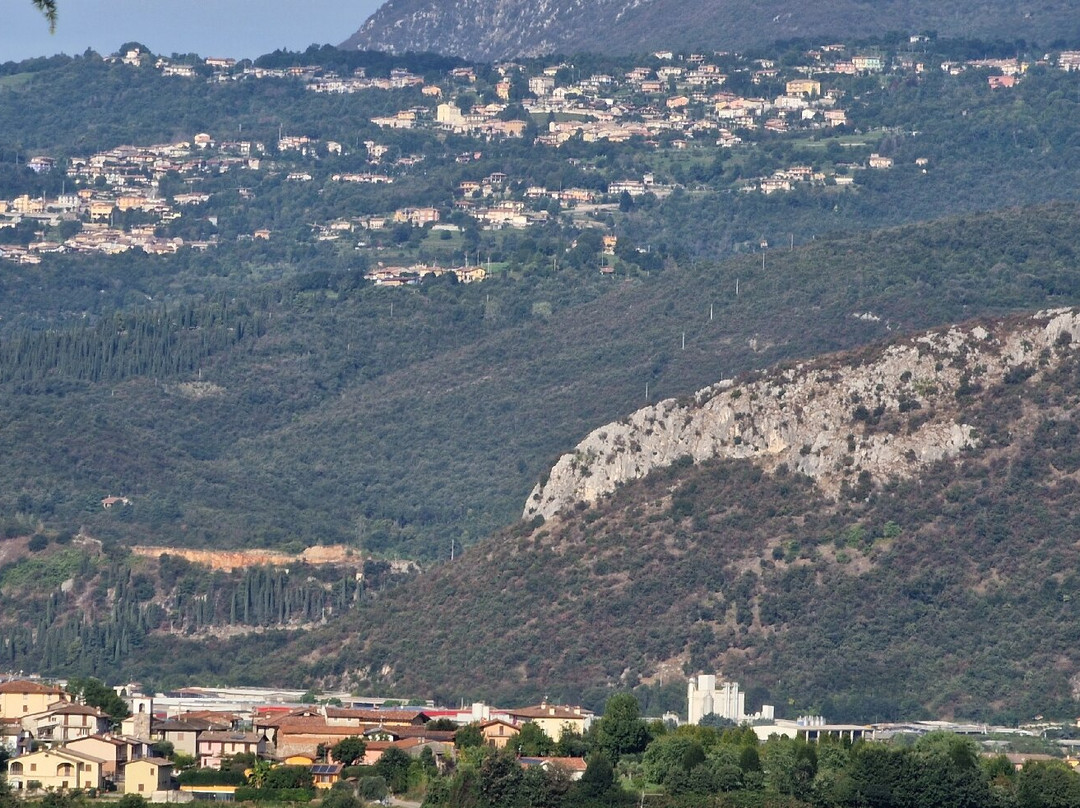 Azienda Agricola La Guarda景点图片