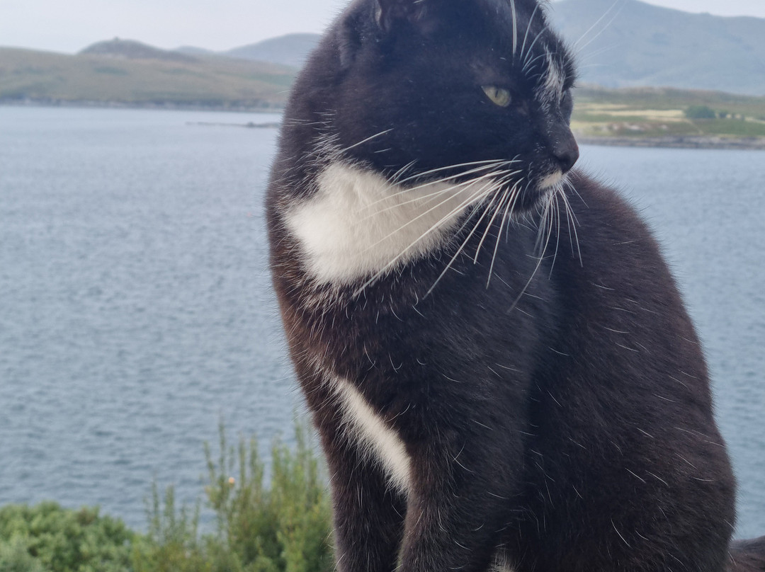 Horizon View Lodge B&B主图