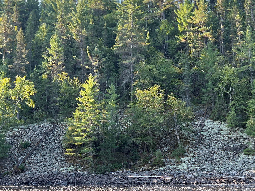 Temagami Wilderness-Temagami必去景点