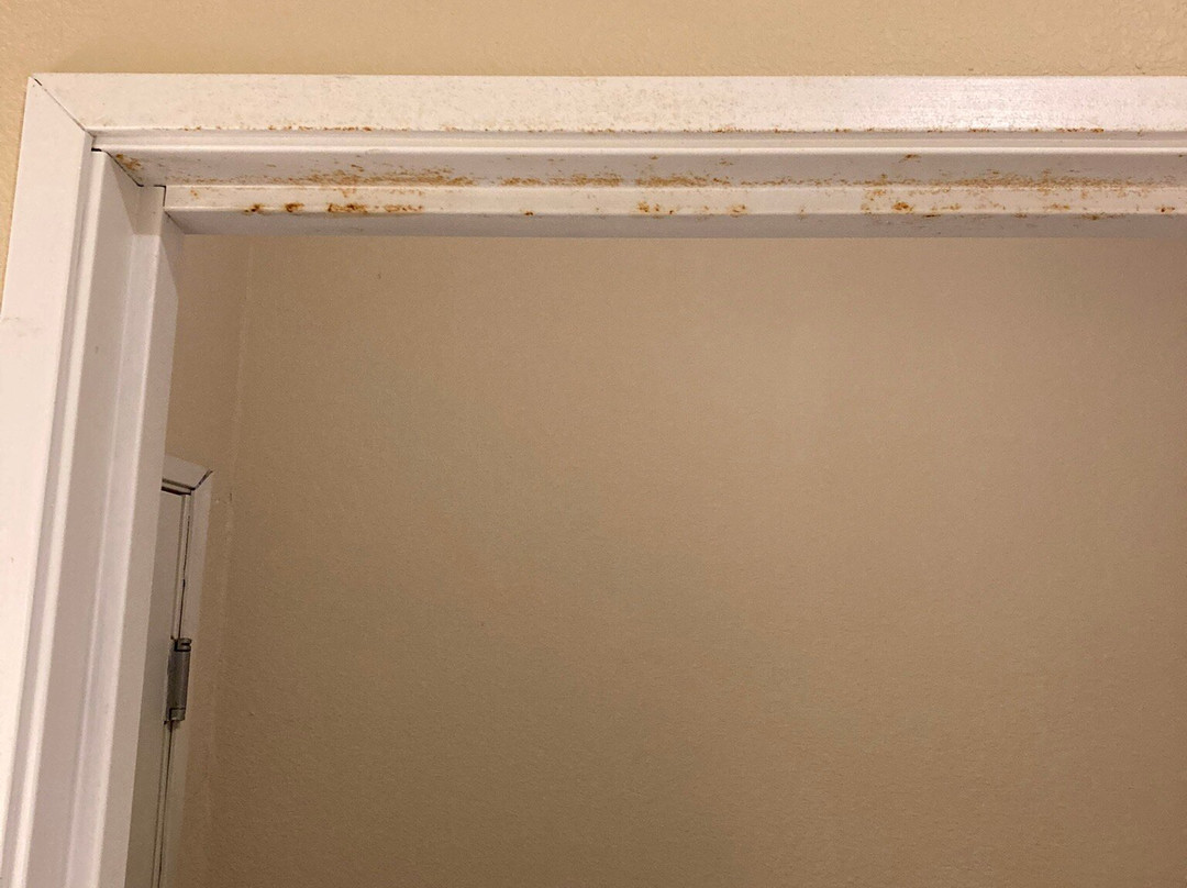 Comfort Suites South Point - Huntington主图