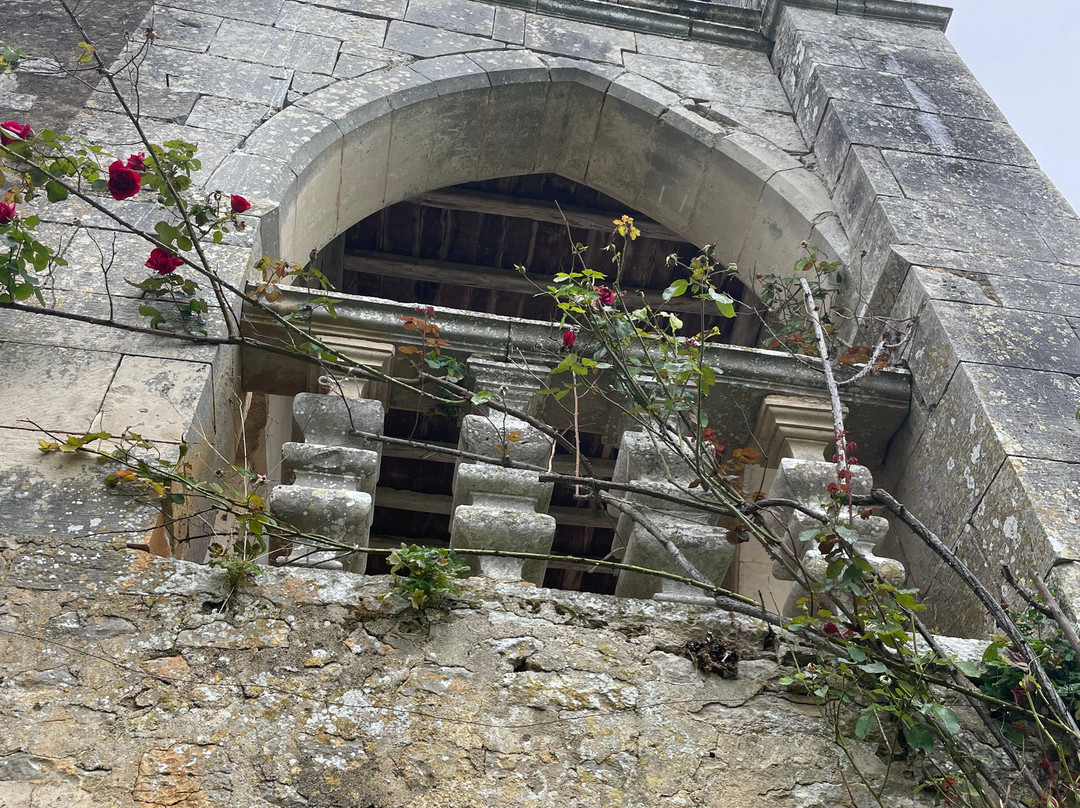 Château De Cibioux主图