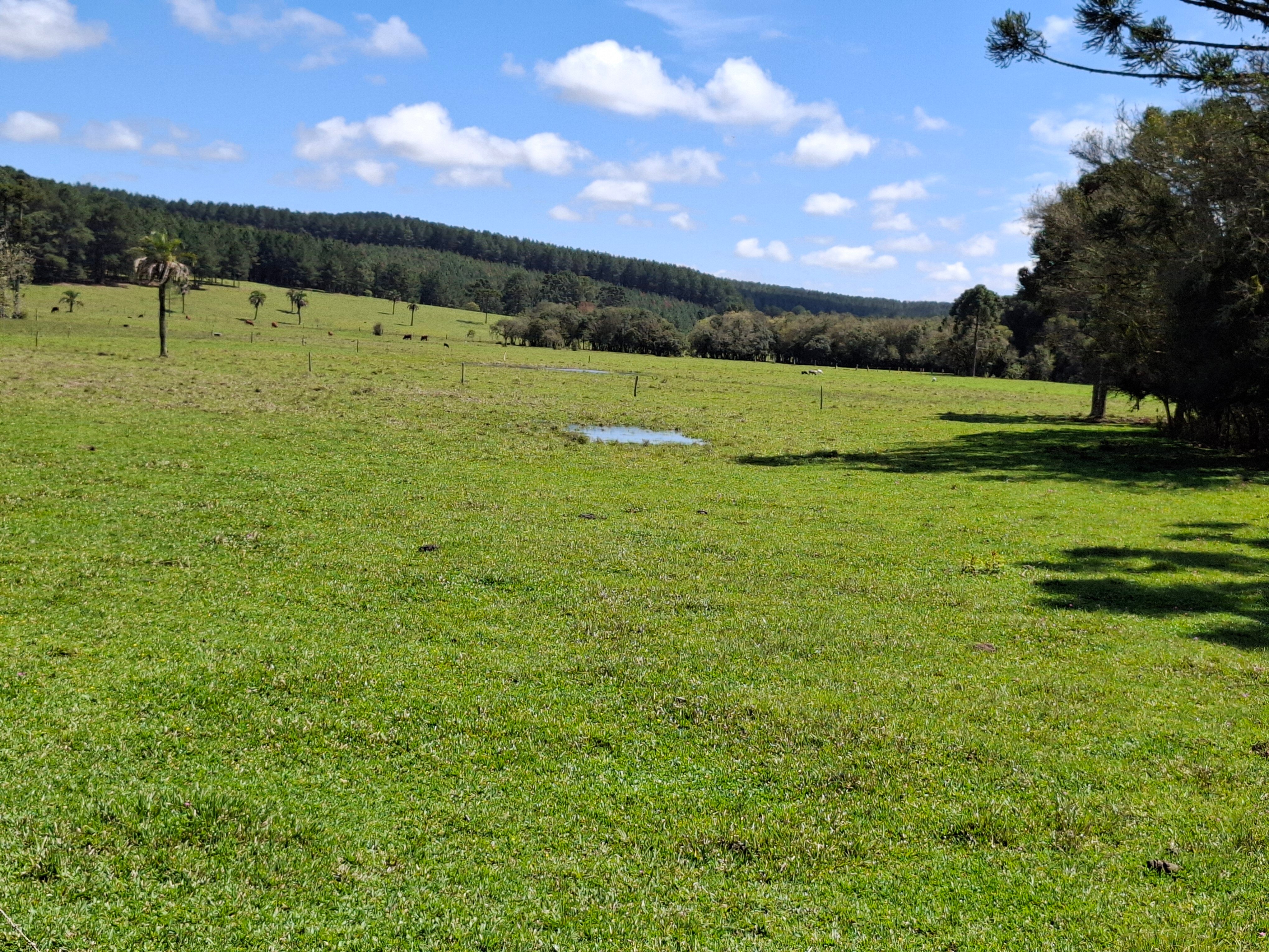 Sesc Pousada Rural em Lages-浴室