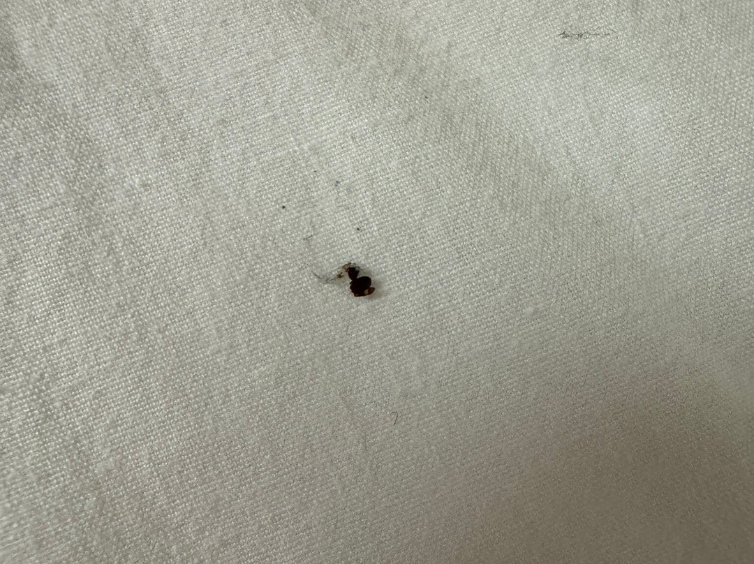 Fairfield Inn & Suites Jasper主图