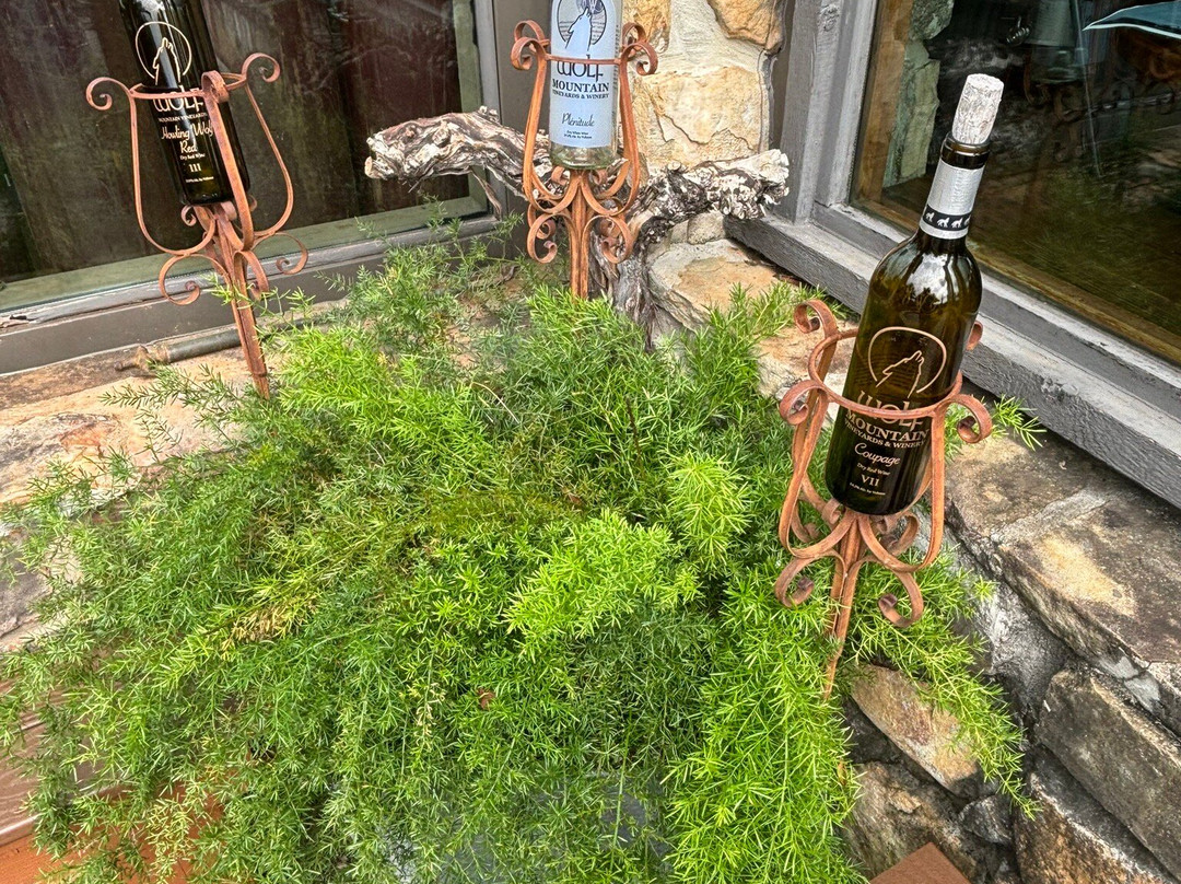 Wolf Mountain Vineyards & Winery-达洛尼加必去景点