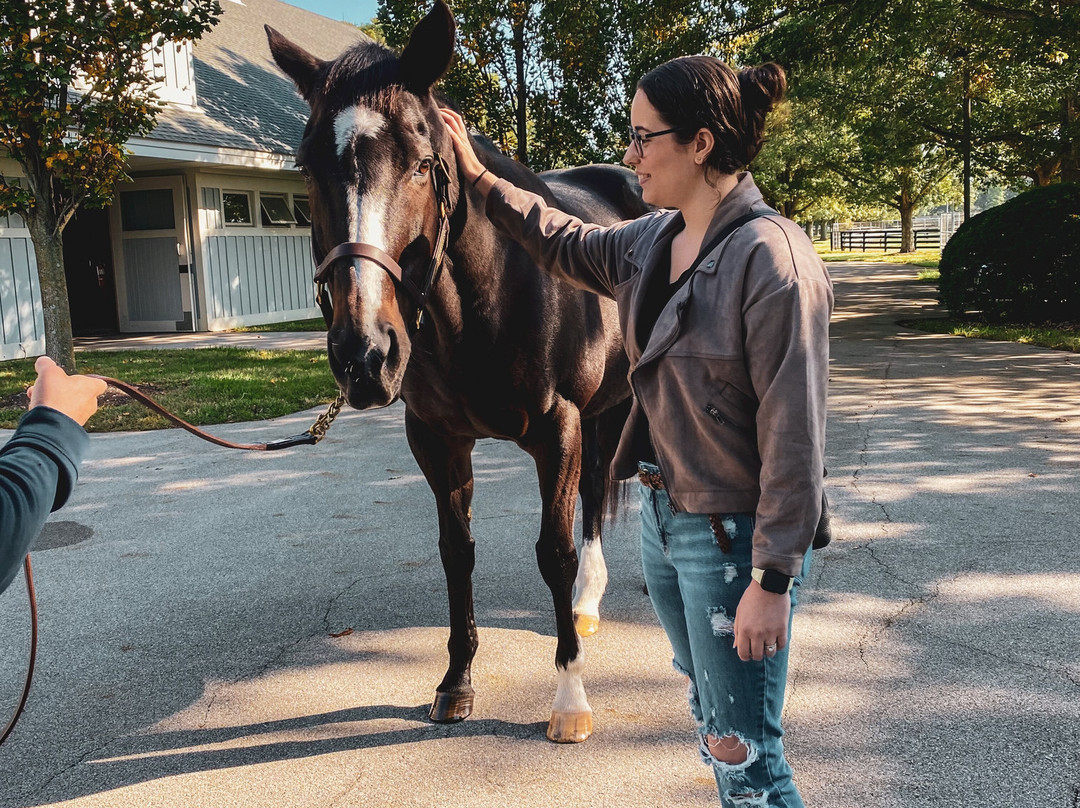 Stonestreet Farm-列克星敦必去景点
