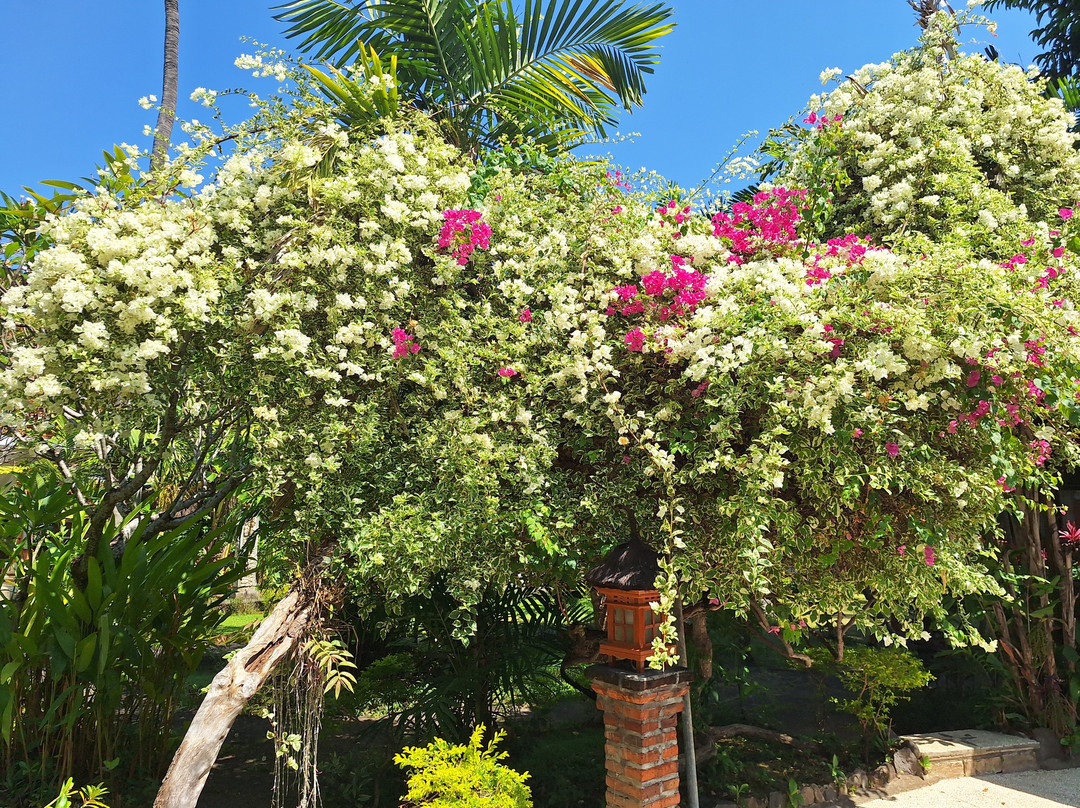 红毛丹精品酒店主图