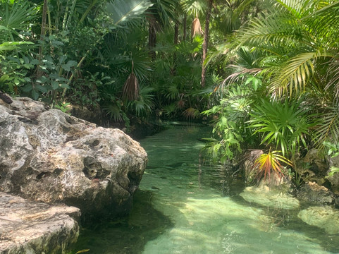 Cenote Yax Kin Camping-图伦必去景点