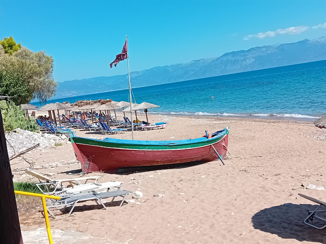 Caribbean Beach bar景点图片