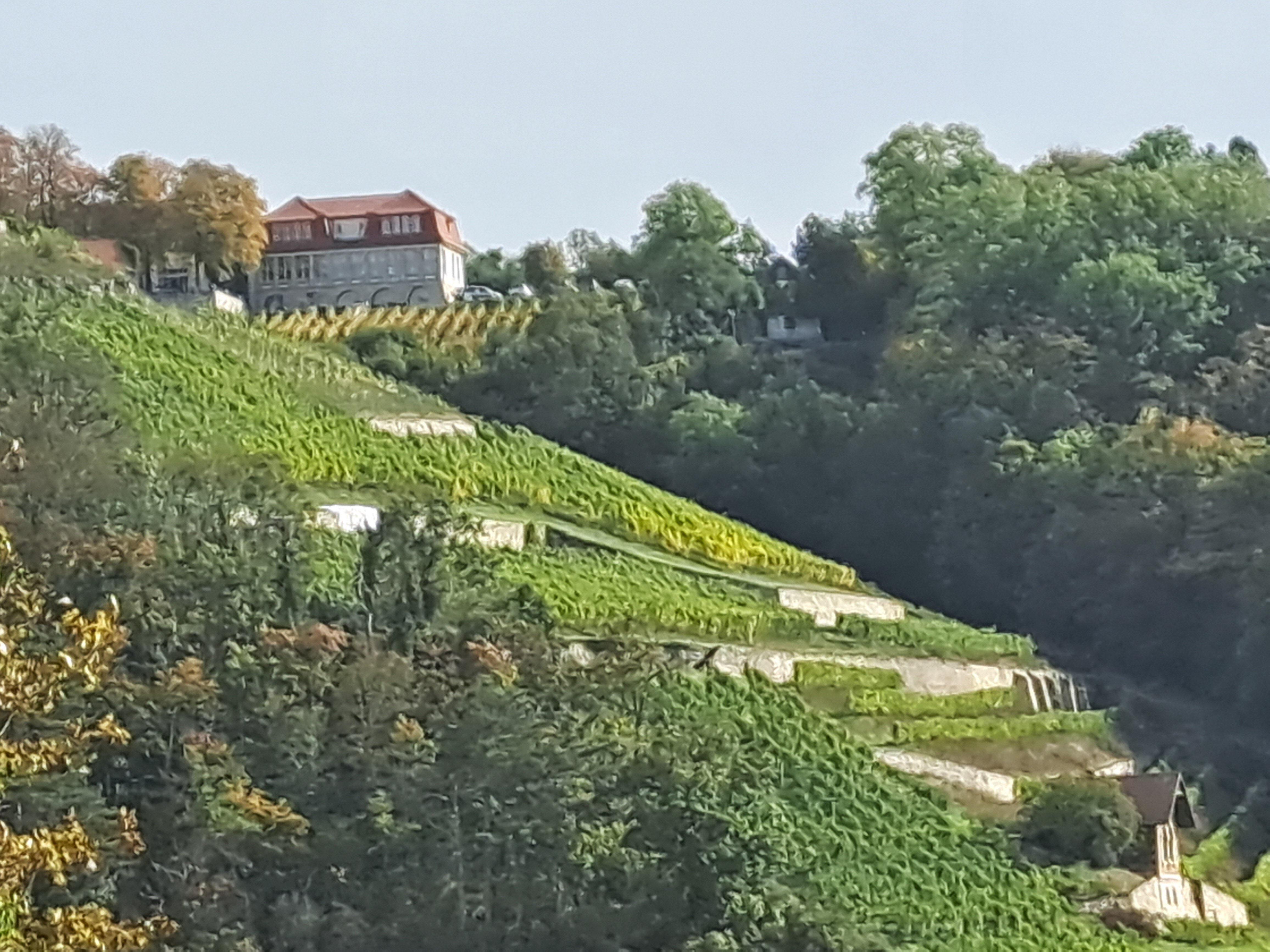 Weinberghotel Edelacker-浴室