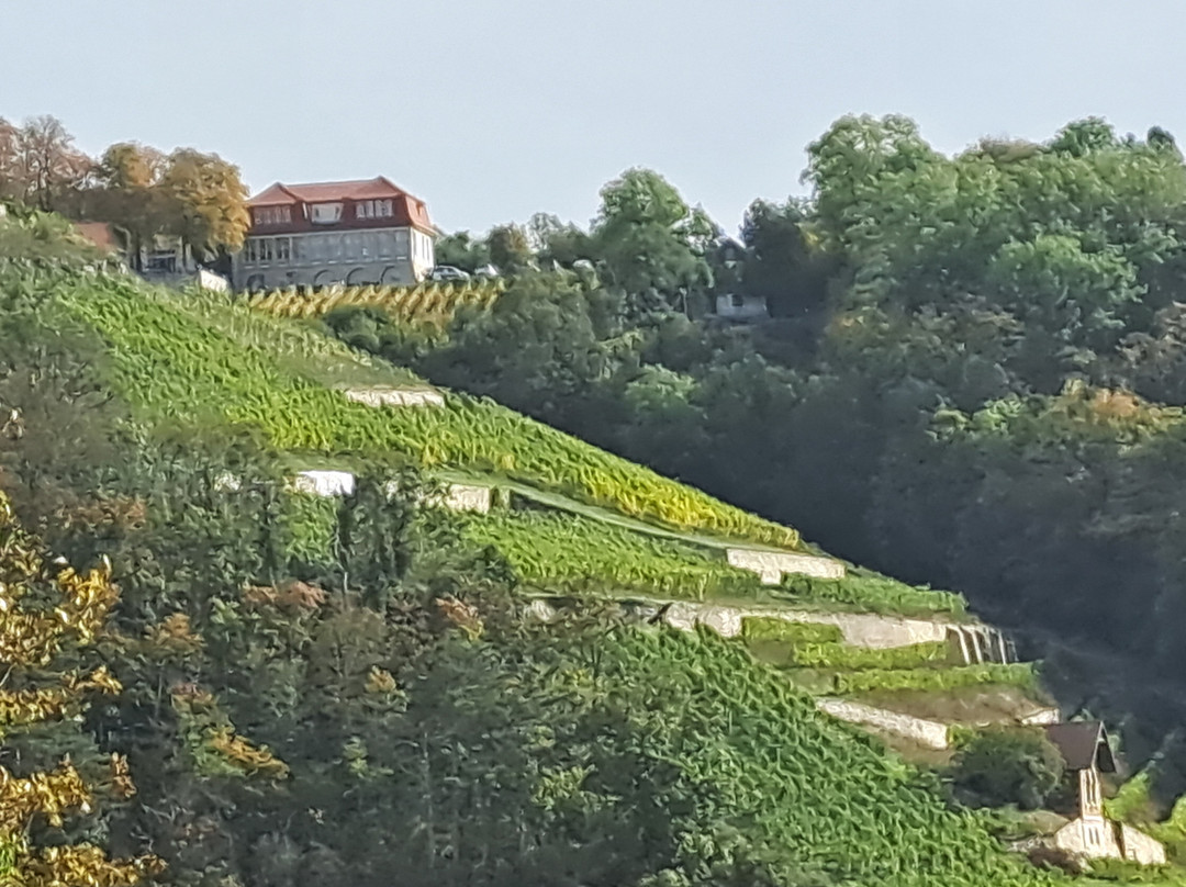Weinberghotel Edelacker主图