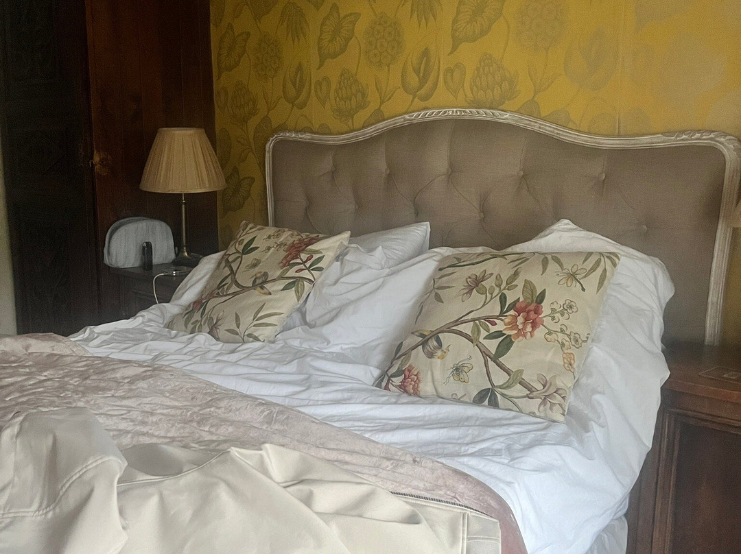 OYO Cocketts Hotel主图