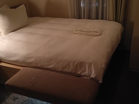 池袋利索酒店主图