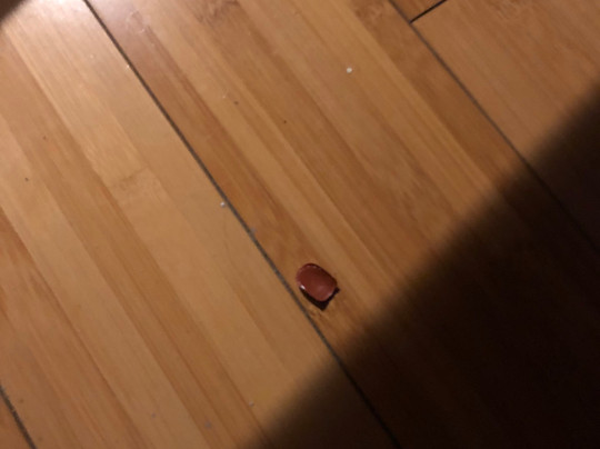 Henderson Castle主图