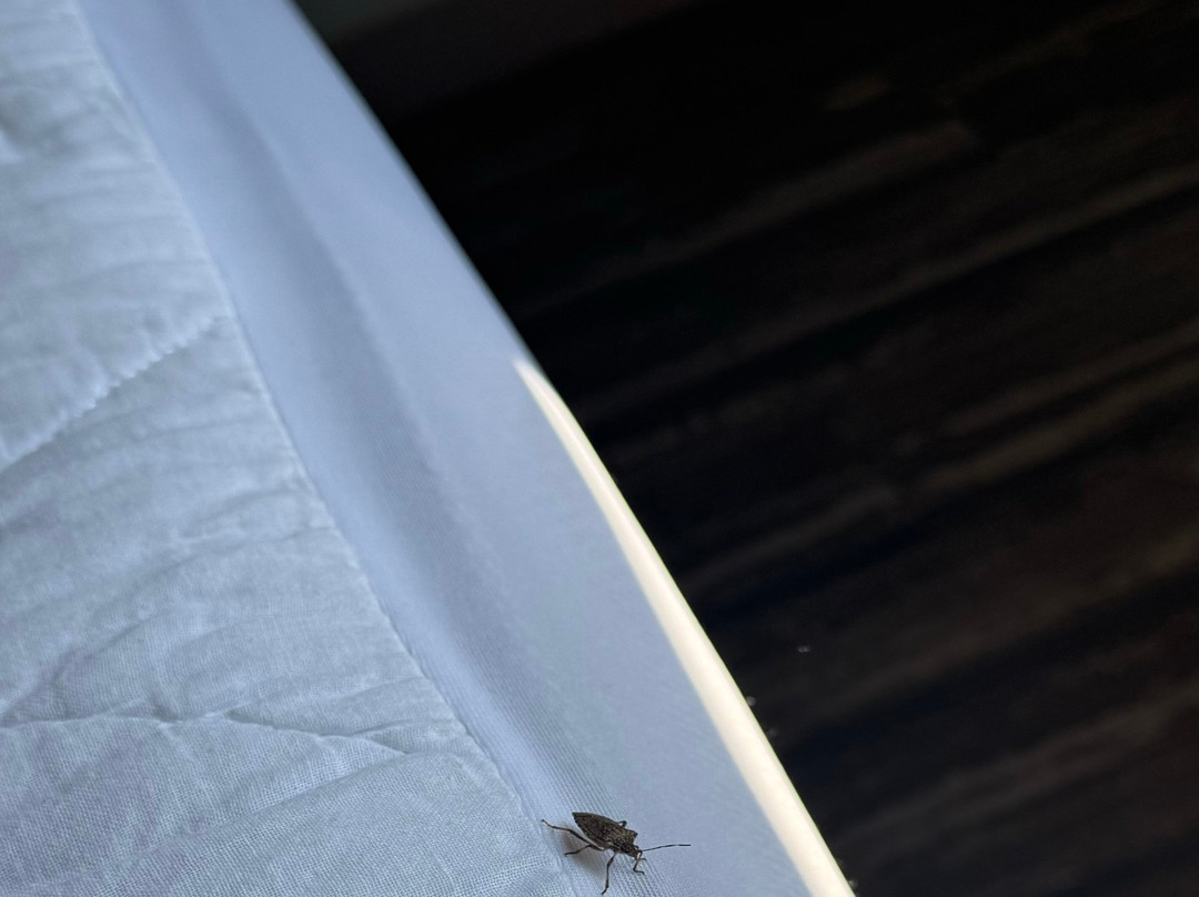 Hampton Inn Atlanta/Fayetteville主图