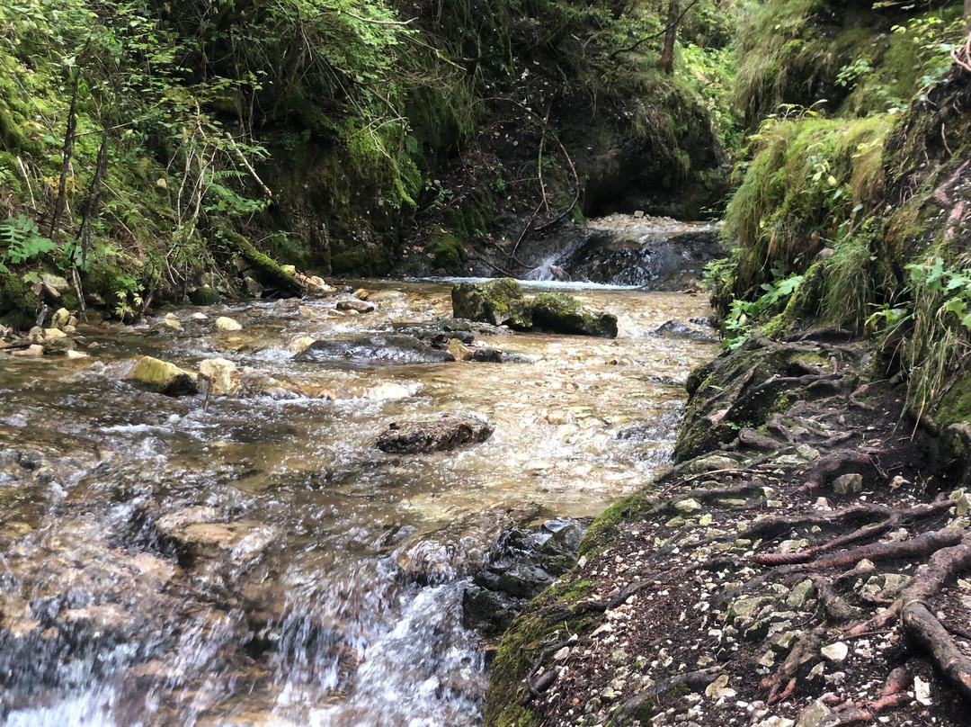 Cascata di Tret景点图片