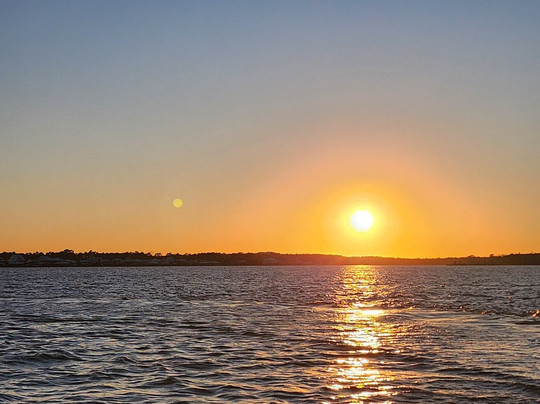 Sunny Lady Dolphin & Sunset Cruise at The Wharf-橙色海湾必去景点