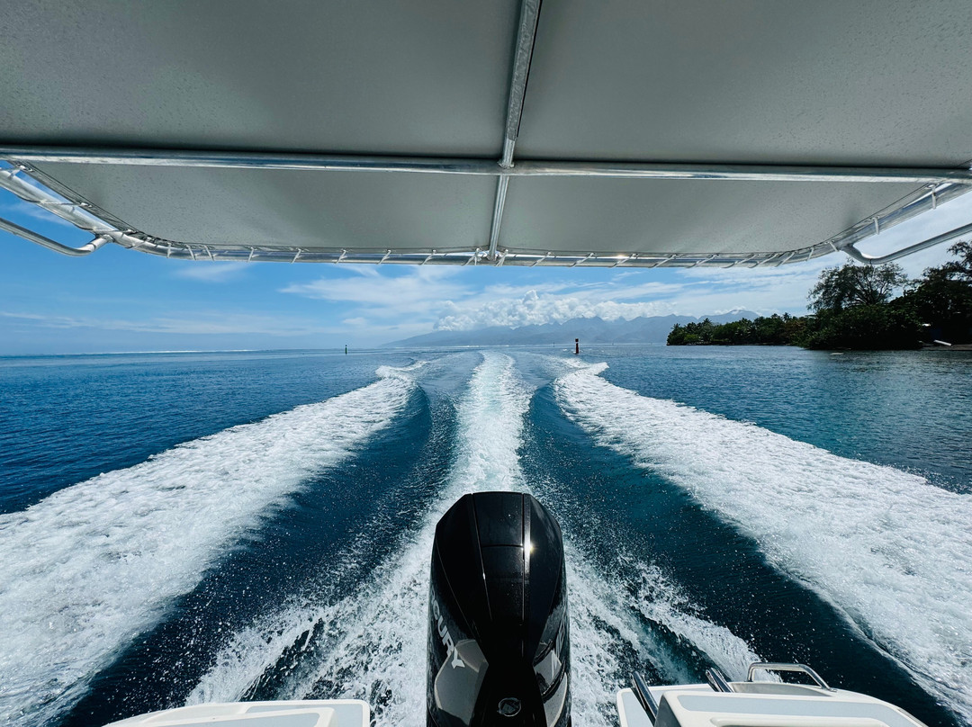 Teahupoo Leisure And Fishing Boat