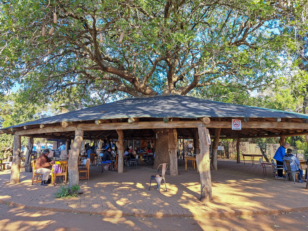 Tshokwane Picnic Site-克鲁格国家公园必去景点