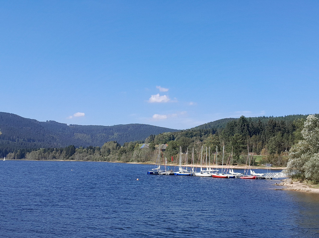 Schluchsee Rundfahrten景点图片