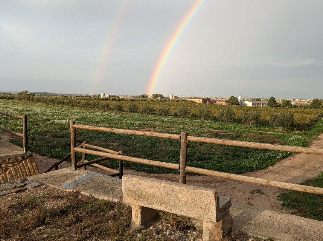 Celler Vinya Els Vilars