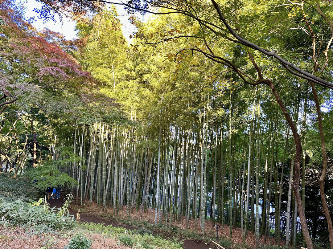 Tonogayato Garden-国分寺市必去景点