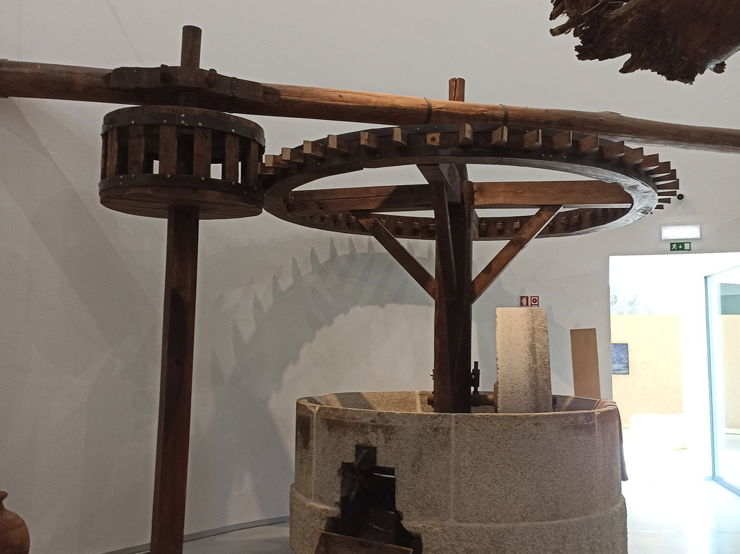 Museu do Azeite景点图片