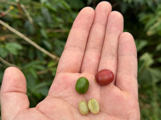 Matongoro Tours Adventure-莫西必去景点