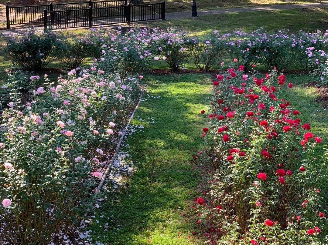 Tyler Rose Garden & Center景点图片