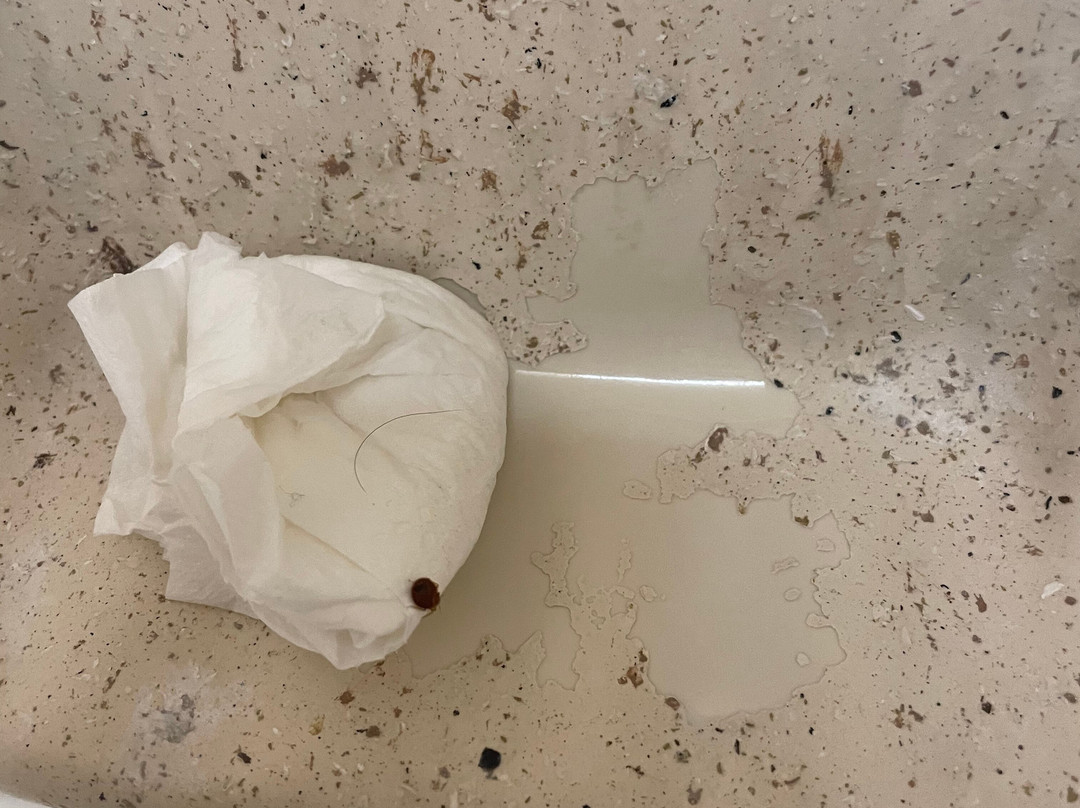 Extended Stay America - Columbus - Tuttle主图