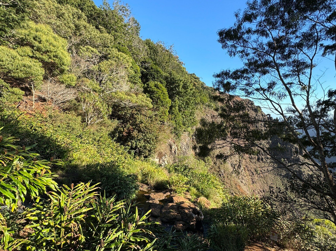 Waipo’o Falls-威美亚必去景点